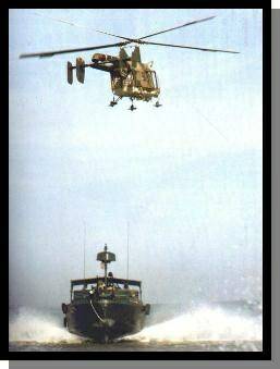 BrownWaterRescue.jpg