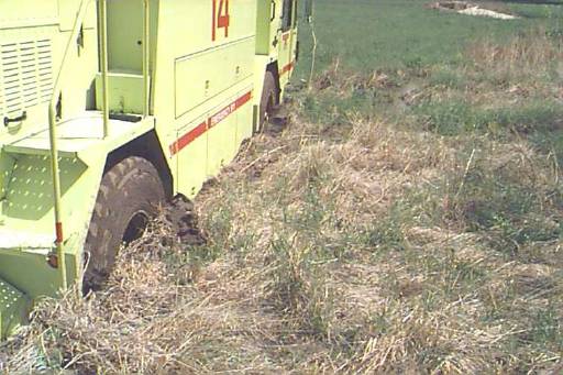 image01.jpg