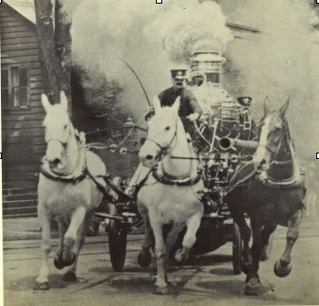 Horses.jpg