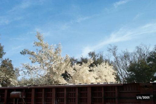 P0001431.jpg