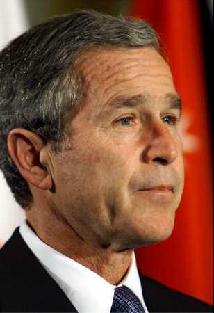 bush1.jpg